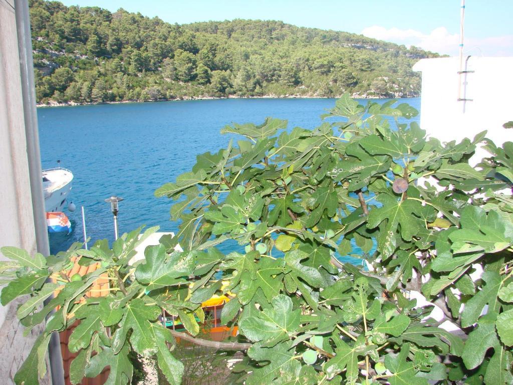 מלון Polače Sea House Mljet חדר תמונה